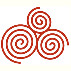 The Importance of and Issues relating to Heritage in Ireland over the coming years